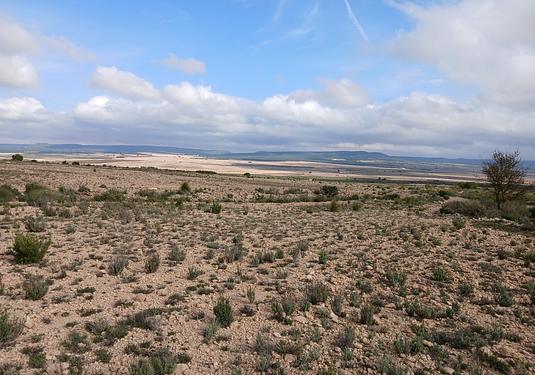 Land in Yecla