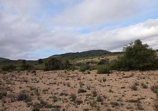 Land in Yecla