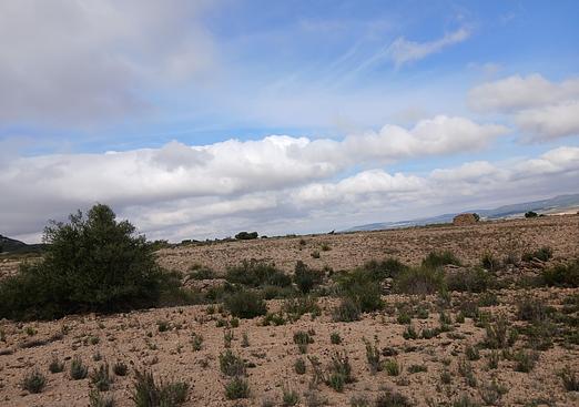 Land in Yecla