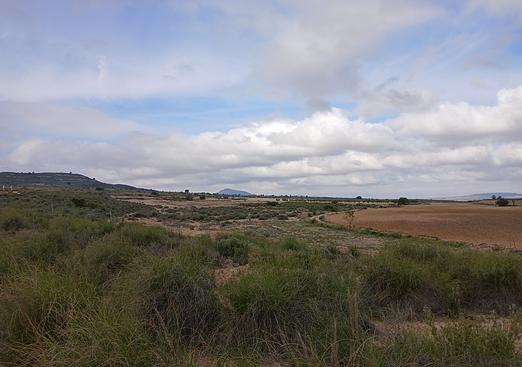 Land in Yecla