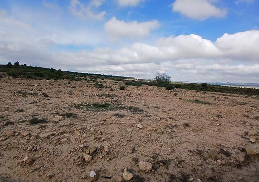 Land in Yecla