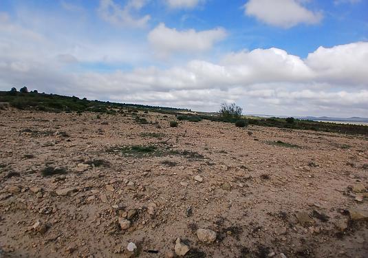 Land in Yecla