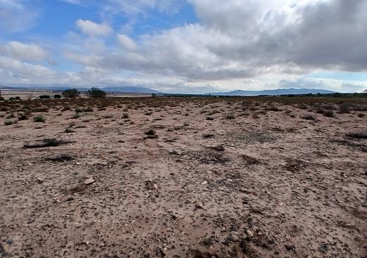 Land in Yecla