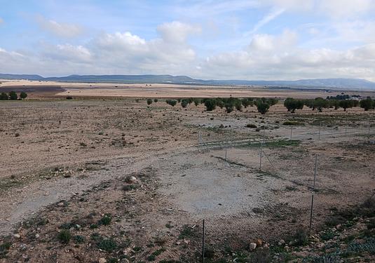 Land in Yecla