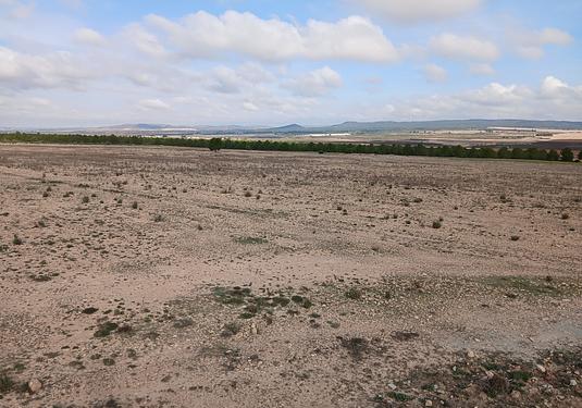 Land in Yecla
