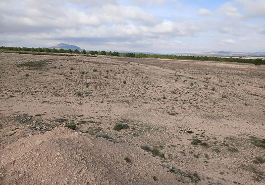 Land in Yecla