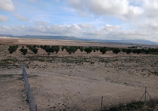 Land in Yecla