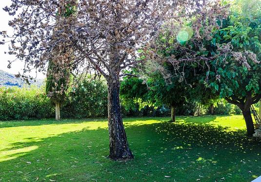 Villa in Jesus Pobre