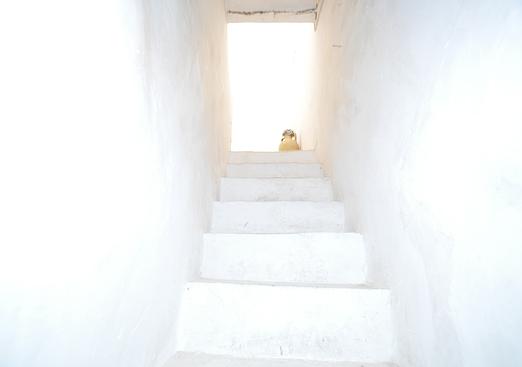 Country house in La Zarza