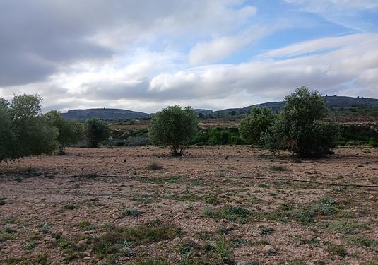 Land in Yecla