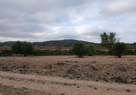 Land in Yecla