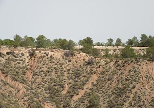 Land in Murcia