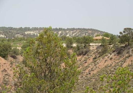 Land in Murcia