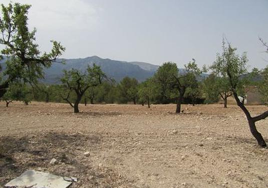 Land in Murcia