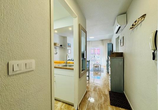 Apartment in La Mata