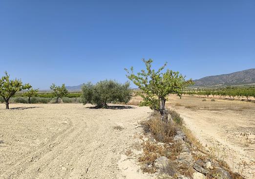 Land in Monóvar/Monóver