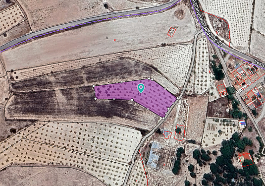 Land in Monóvar/Monóver