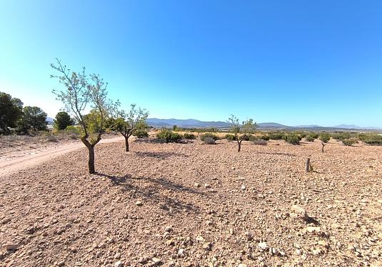 Land in Monóvar/Monóver
