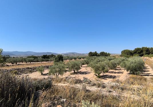 Land in Monóvar/Monóver