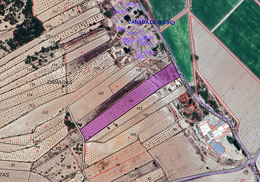 Land in Monóvar/Monóver