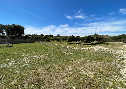 Villa in Guardamar del Segura
