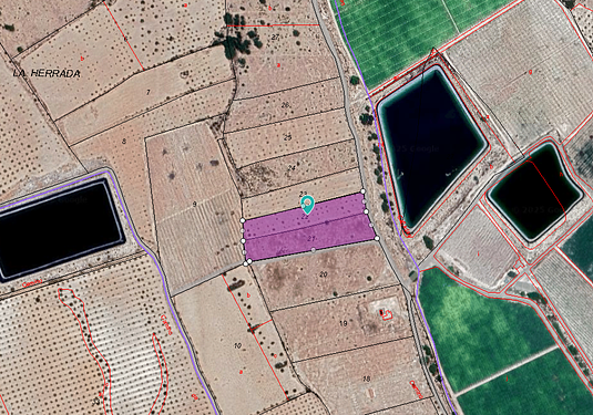 Land in Monóvar/Monóver