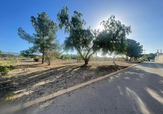 Land in Pinoso
