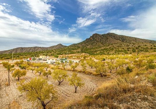 Villa in Jumilla