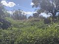 Land in Moratalla