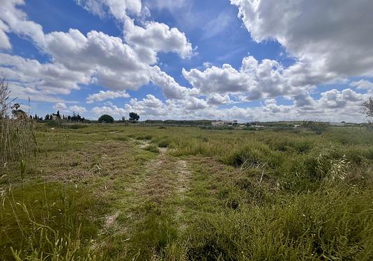 Land in Catral