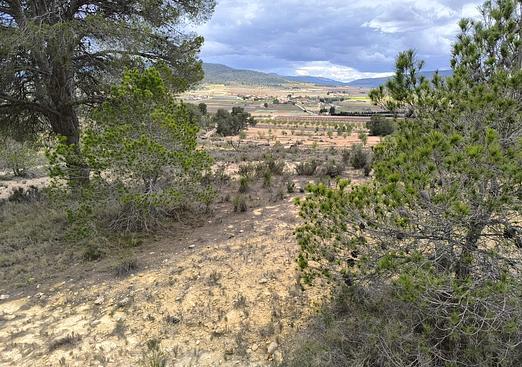 Land in Pinoso