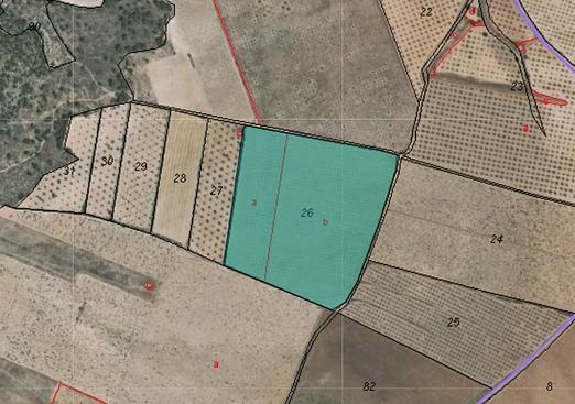Land in Yecla