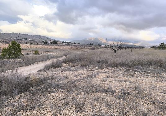Land in La Solana