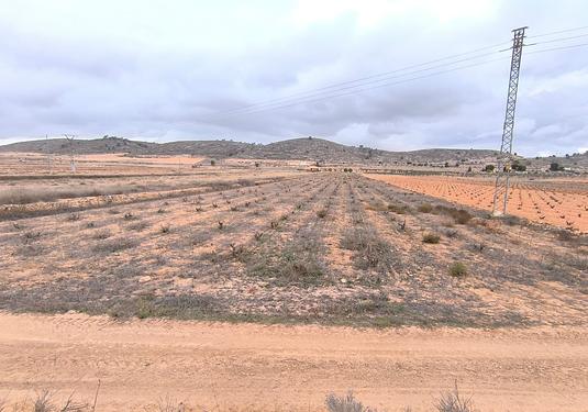 Land in La Solana