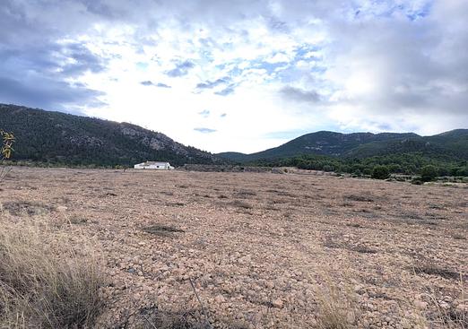 Property in Yecla