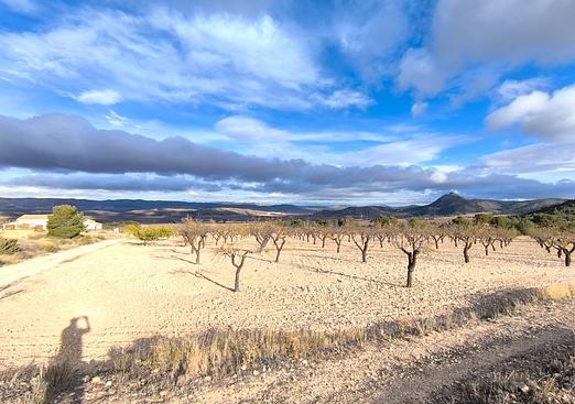 Property in Yecla