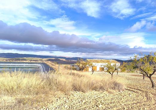 Property in Yecla