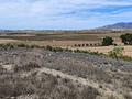 Land in Pinoso