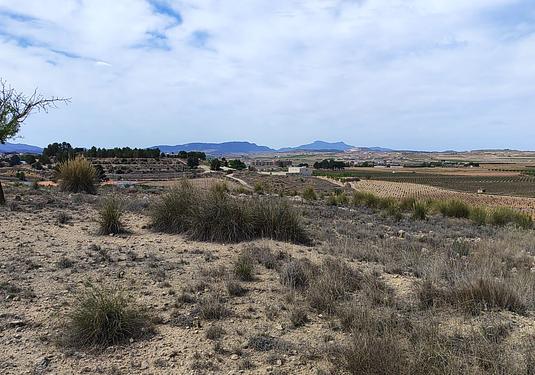 Land in Pinoso