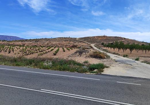 Land in Pinoso