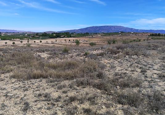 Land in Pinoso