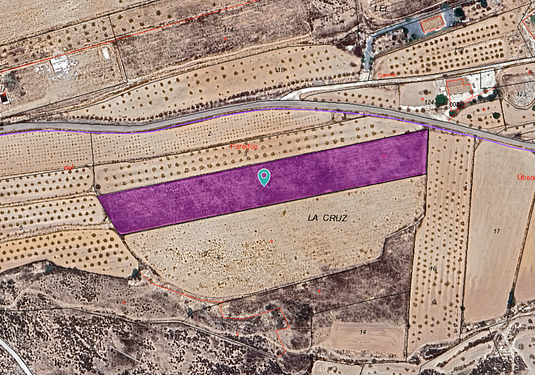 Land in Pinoso