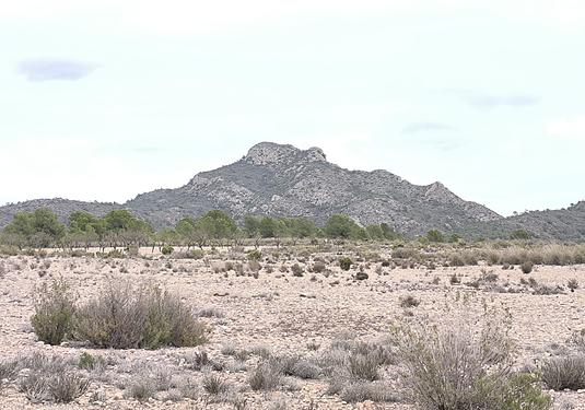 Land in Salinas
