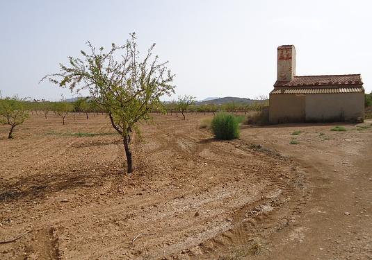 Land in Canada del Trigo