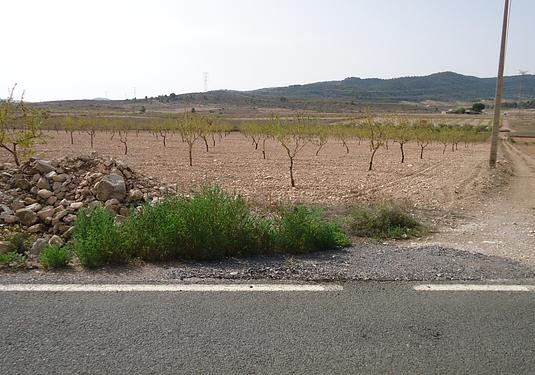 Land in Canada del Trigo