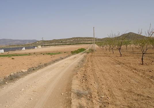 Land in Canada del Trigo