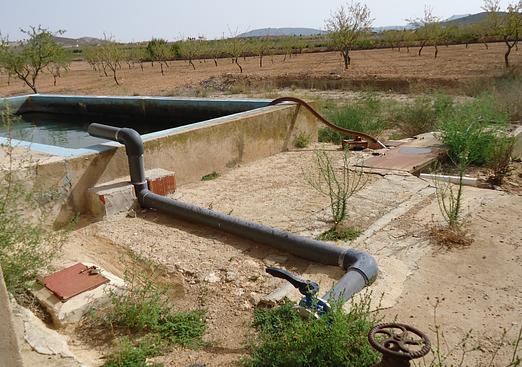 Land in Canada del Trigo