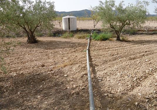 Land in Canada del Trigo