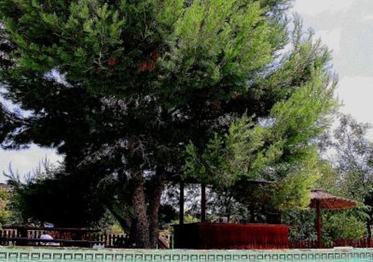 Finca in Gea Y Truyols