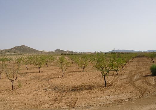 Land in Canada del Trigo
